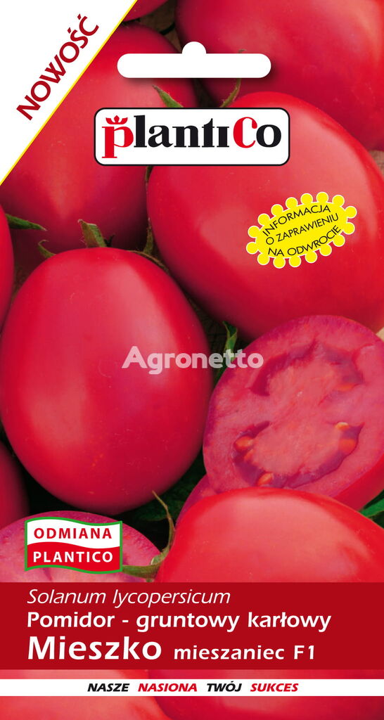 Cà chua xay Solanum Mieszko 0,5G
